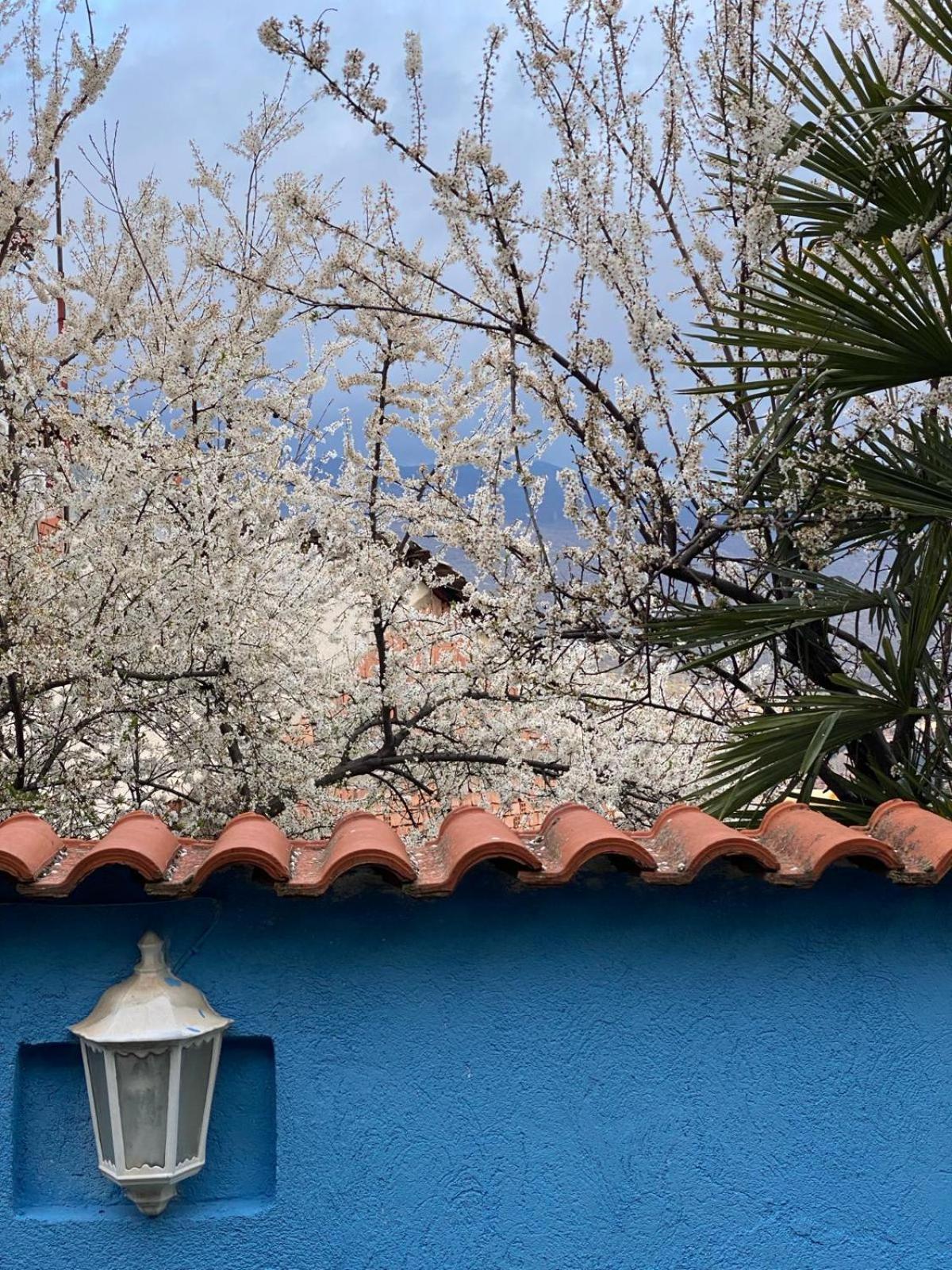 Blue Orange Lake Hostel Ohrid Bagian luar foto